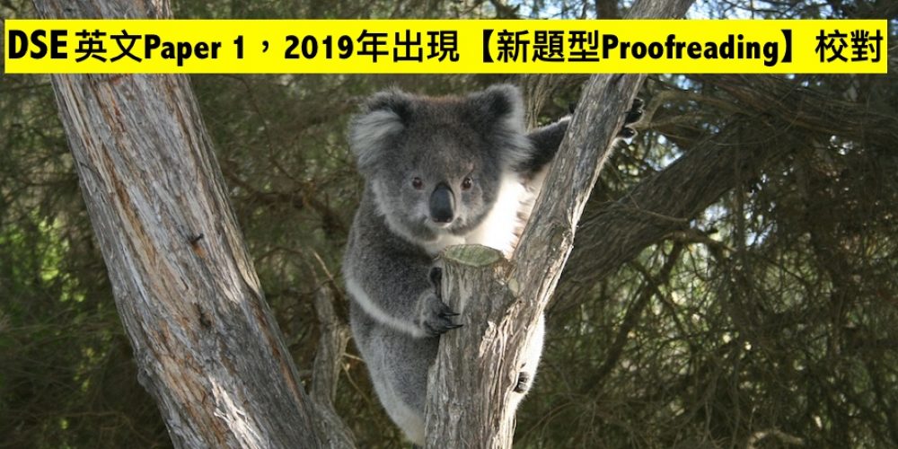 DSE英文Paper 1，2019年出現【新題型Proofreading】校對 | 【【7+3視覺英語